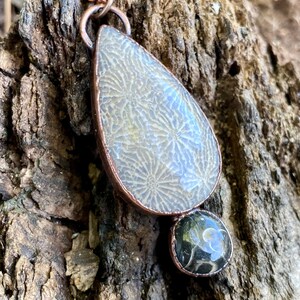 •AEON• turritella fossil + gold necklace (18