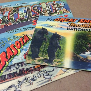 Postcard lot 1950s silk packs Sarasota Fl Excelsior Springs Missouri Great Smokey Mountains National park addressed stamped tourist travel