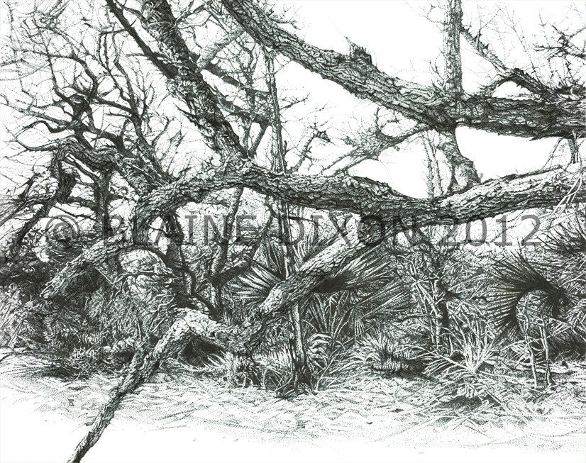 TANGLED UP INSIDE- Stippled Pen and Ink Art Print,  Low Country Maritime Forest