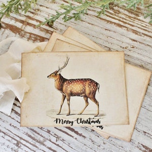 Geschenkanhänger Weihnachten Vintage Reh Rehkitz MERRY CHRISTMAS Farmhaus Deko Karte Geschenkverpackung Weihnachten Hirsch Buck Primitive Weihnachten