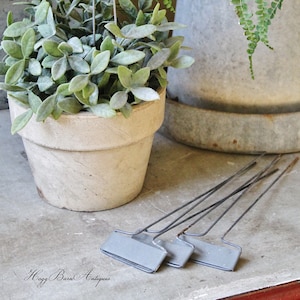 May include: A small, light-colored terracotta pot holds a plant with small, light green leaves. Several metal plant labels with blank rectangular plates are scattered nearby. A larger metal pot with a fern is in the background.