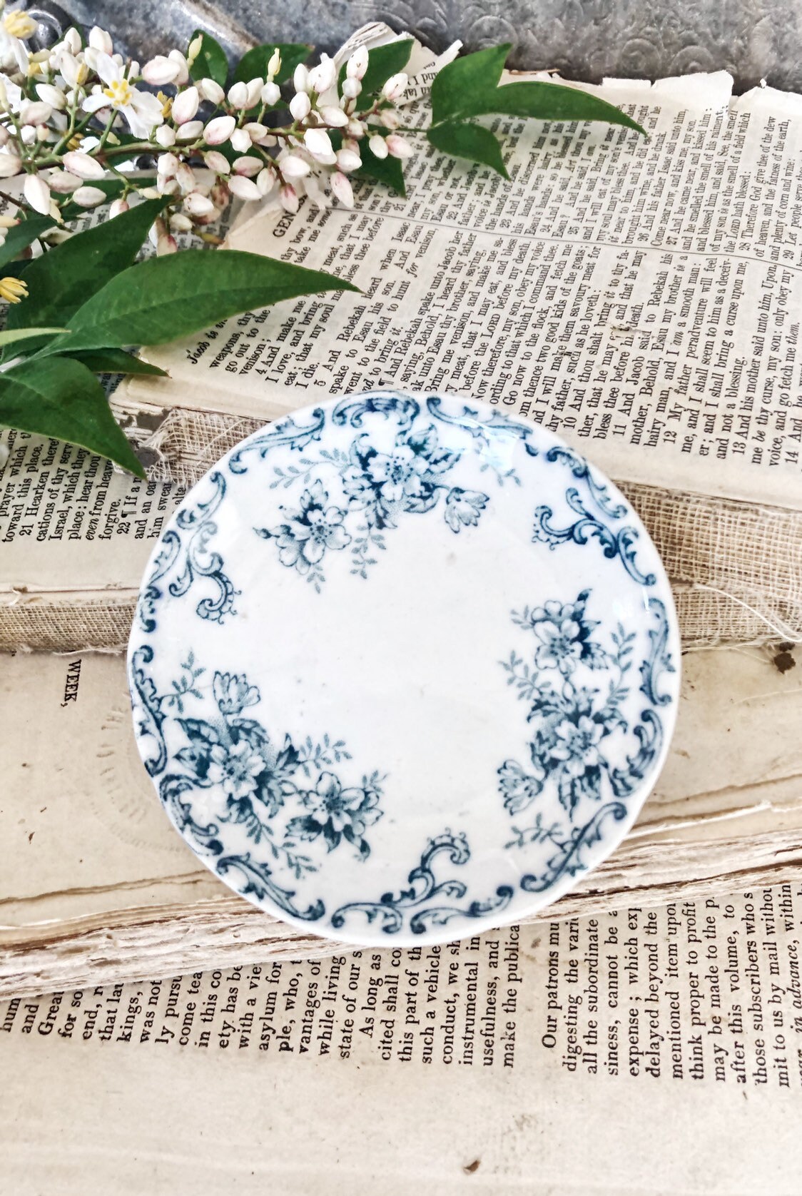 Antique Vintage White Blue Ironstone Butter Pat Trentham Hanley