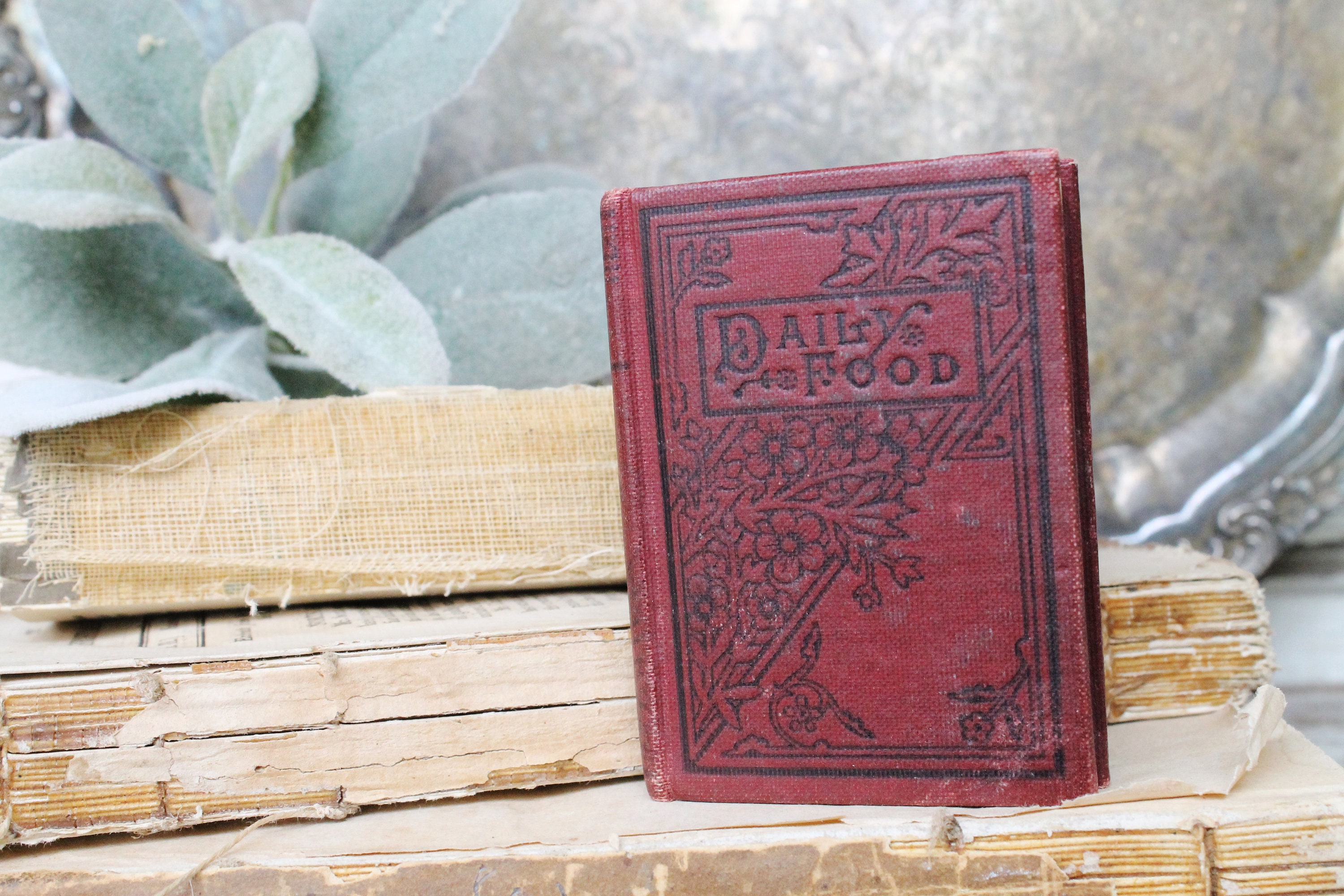 Antique DAILY FOOD for CHRISTIANS Red Inspirational Book Bible with ...