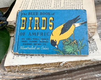 Antique BIRDS of AMERICAN GUIDE Book Farmhouse Decor Pocket Book Blue