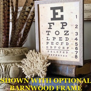 May include: A framed vintage eye chart with a weathered look. The chart features black letters of varying sizes against a cream-colored background. The frame is a light gray wood. Decorative elements include feathers and coral.