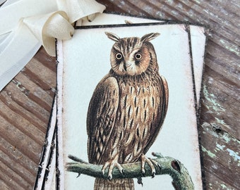 Etiquettes cadeaux Halloween automne hibou marron, décoration de ferme vintage grunge étiquette cadeau
