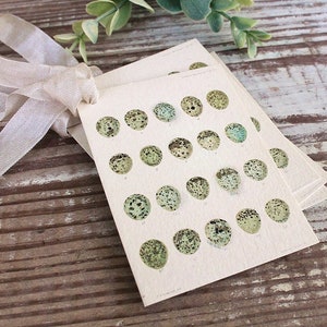 Etiquetas de regalo de Pascua vintage con diseño de huevos botánicos, página de libro de historia natural, tarjeta de decoración de granja francesa, gráfico de huevos moteados desgastados, juego de 8