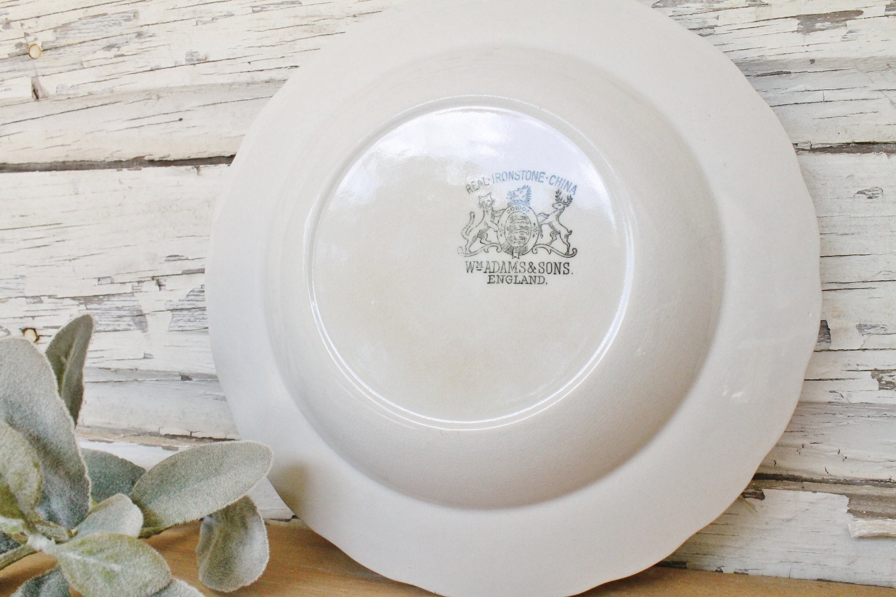 Antique Ironstone BOWL Wm ADAMS & Sons English Ironstone Scallop Wheat