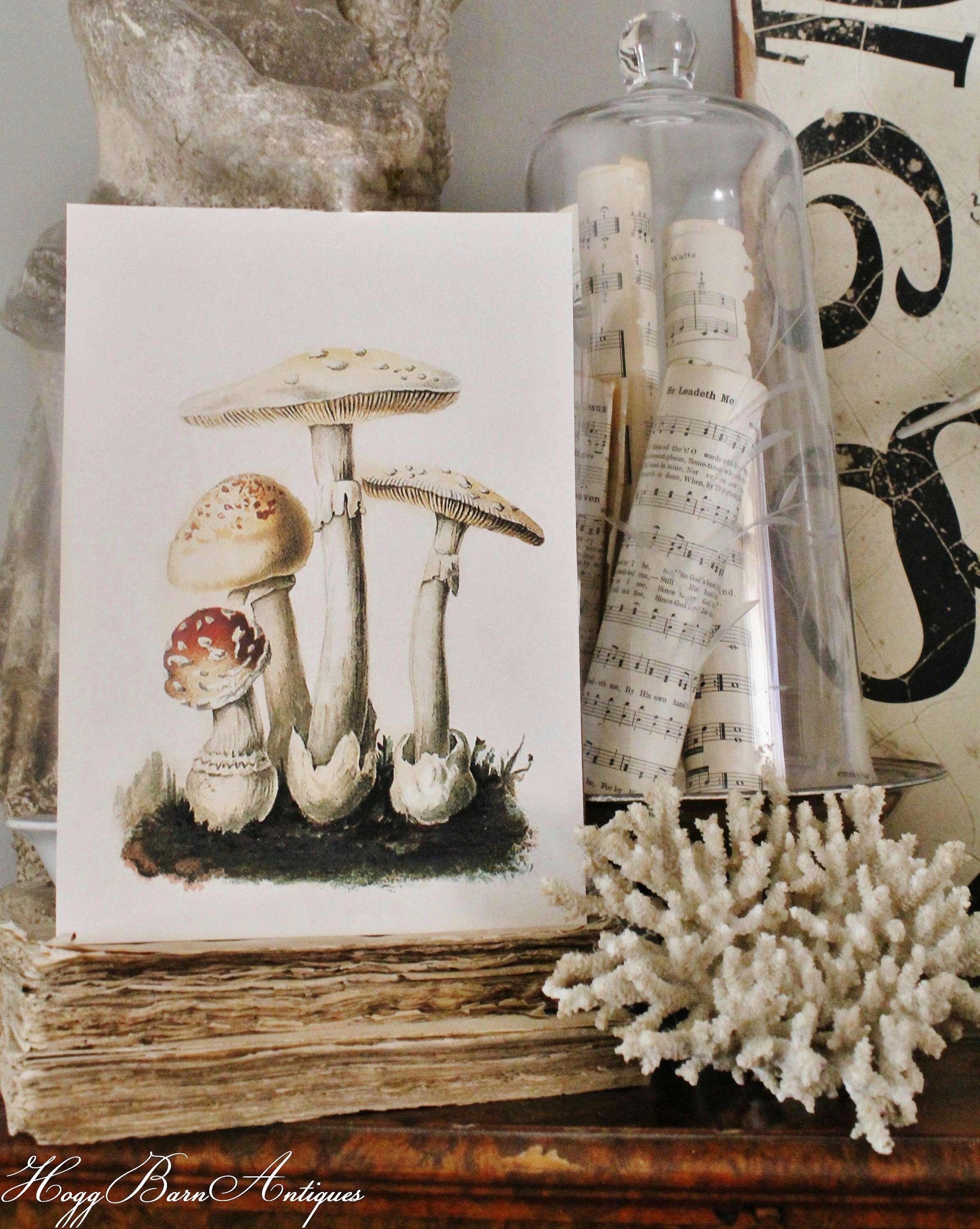 Mushrooms in a jar Black & White art Art Board Print for Sale by