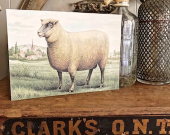 Vintage SHEEP Wood Sign Primitive Farmhouse Decor Illustration Book Page Wall Art Print Pasture Church Farm Antique Image Easter Decor