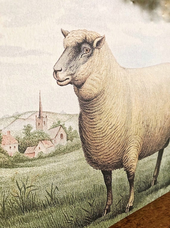 Vintage SHEEP Wood Sign Primitive Farmhouse Decor Illustration 