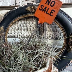 May include: An orange metal sign with the black text NO SALE printed on it, attached to a thin metal stake. The sign is positioned behind a cluster of thin, grey-green air plants that are nestled inside a white and brown ceramic container.