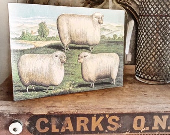 Vintage SHEEP HERD Wood Sign Primitive Farmhouse Decor Illustration Book Page Wall Art Print Pasture Farm Antique Image