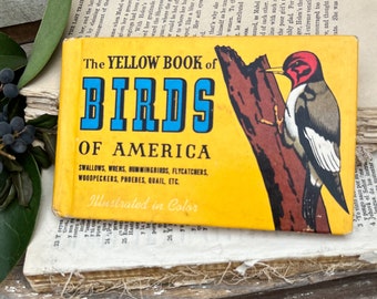 Antique BIRDS of AMERICAN Guide Book Farmhouse Decor Pocket Book YELLOW Book