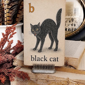 May include: A rectangular card featuring a black cat illustration with yellow eyes, an arched back, and the letter b in orange at the top left. The text black cat is printed in black at the bottom. The card is held upright by a metal pin frog holder.