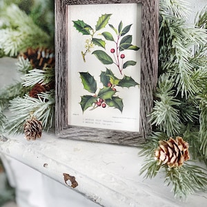 Vintage Christmas Sign HOLLY BOTANICAL Frame Farmhouse Christmas Decor Barn Wood Rustic Primitive Christmas Sign