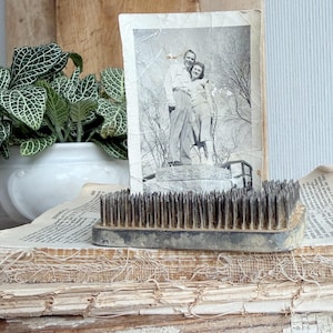 May include: A vintage black and white photograph of a couple stands on a stack of old books. A metal flower frog sits in front of the photo. A white ceramic pot with a green and white plant is to the left.