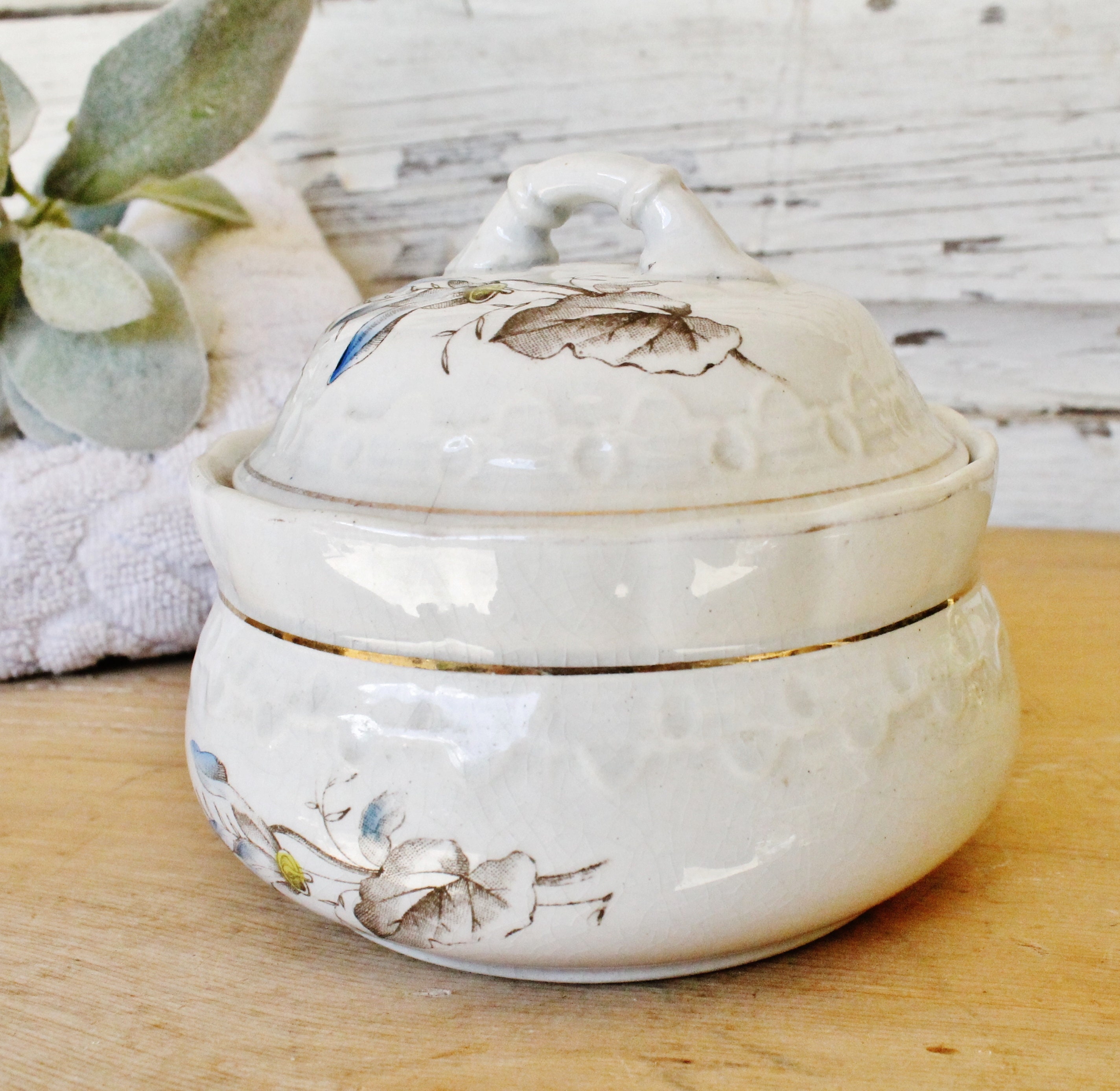 Antique White Ironstone Soap Dish Bowl with Lid French