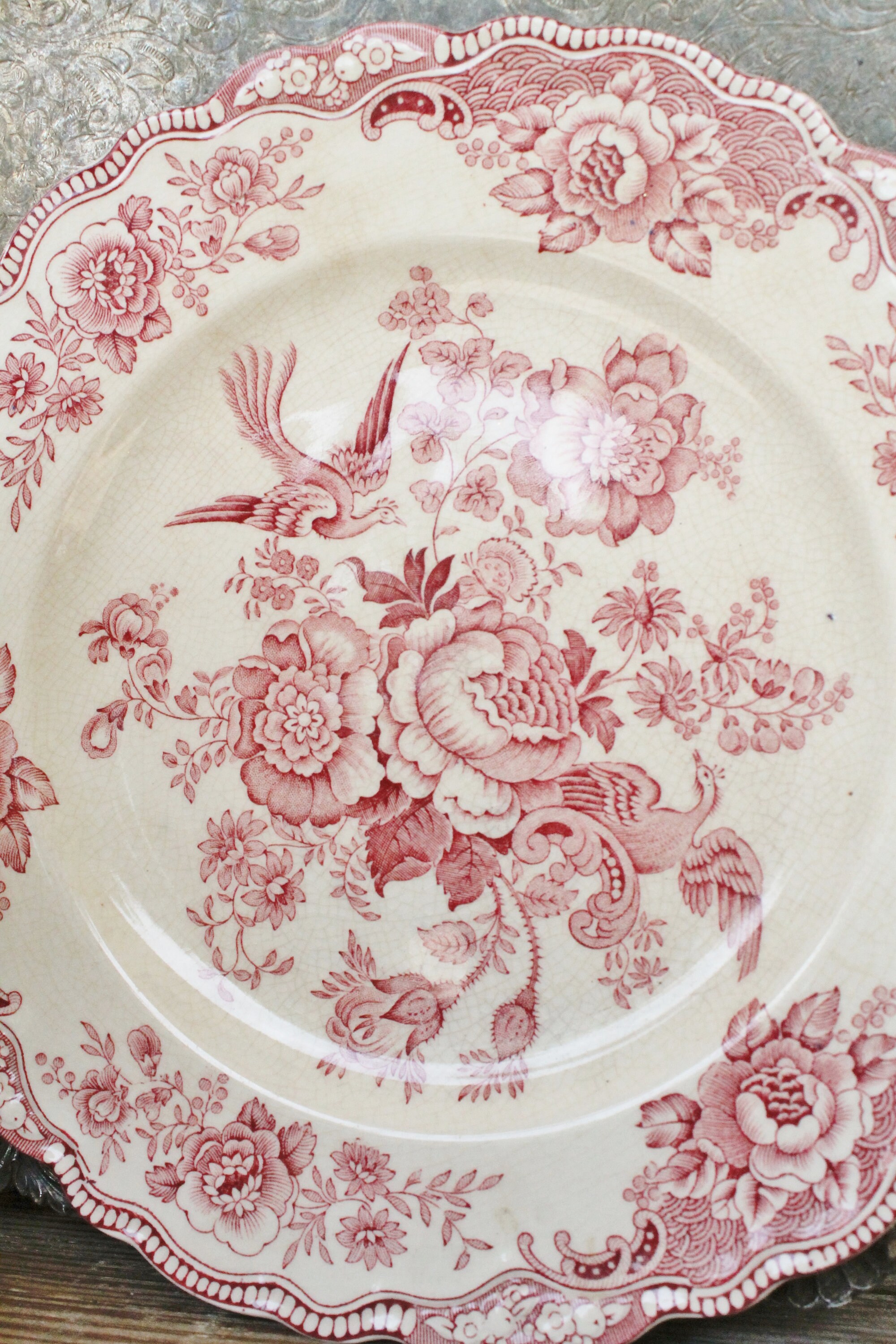 Antique White Ironstone Plate BRISTOL Crown Ducal English Ironstone