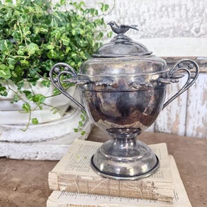 May include: A silver-toned, lidded sugar bowl with a bird finial, two handles, and a pedestal base. The bowl sits atop two vintage books with aged pages. A green plant in a white pot is in the background.