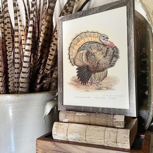 May include: A framed vintage print of a turkey with a colourful tail, resting on aged books and a wooden box. The box reads "Clark's O.N.T. Marking Cotton." A stoneware pot with decorative feathers is in the background.