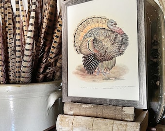May include: A framed vintage print of a turkey with a colorful tail, resting on aged books and a wooden box. The box reads "Clark's O.N.T. Marking Cotton." A stoneware pot with decorative feathers is in the background.
