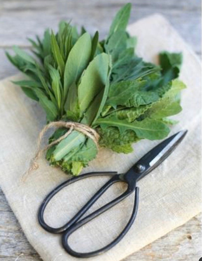 Farmhouse Garden Scissors Bonsai Vintage Primitive Style image 1