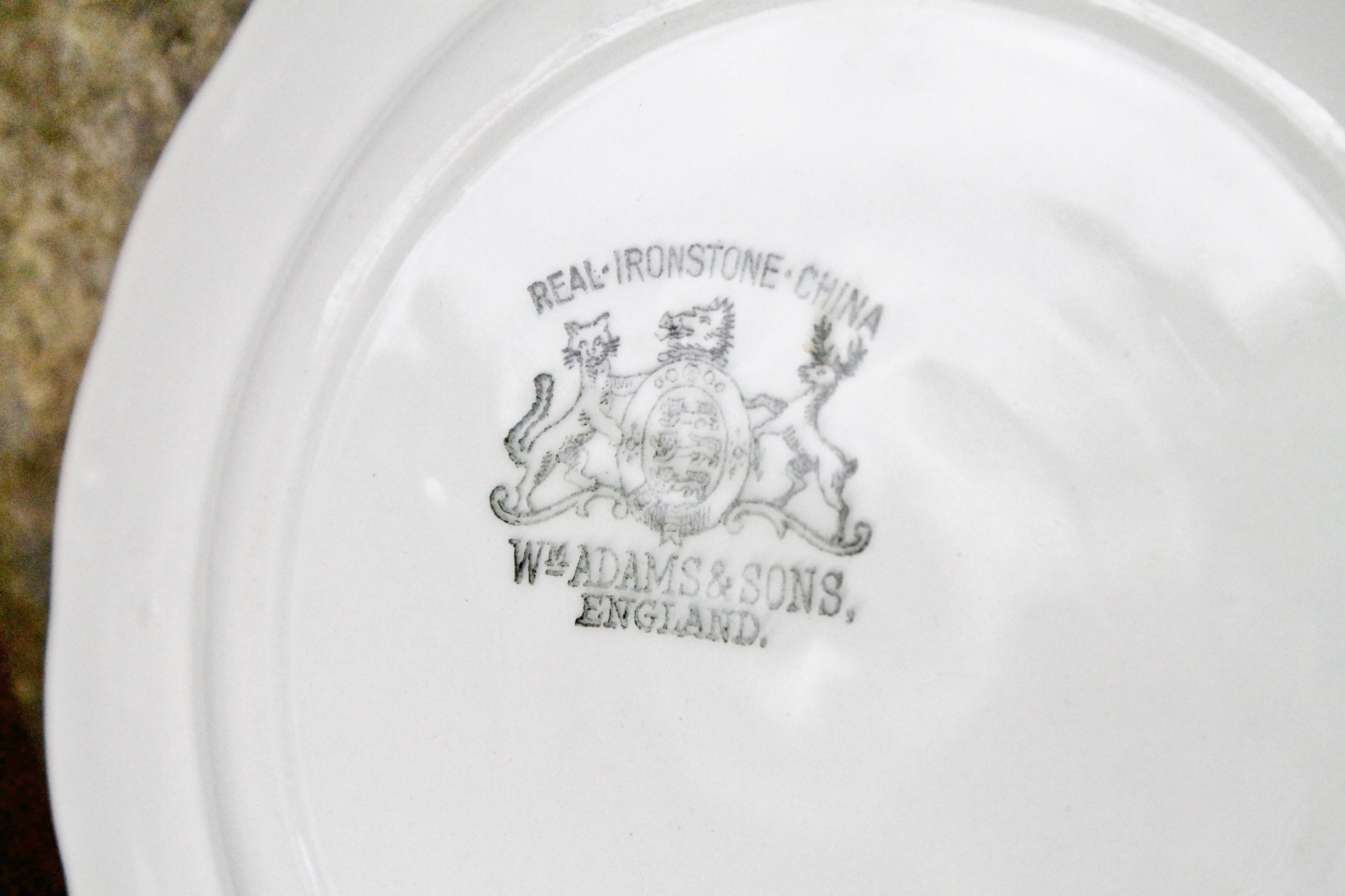 Antique Ironstone Plate Wm ADAMS & Sons English Ironstone Scallop Plate