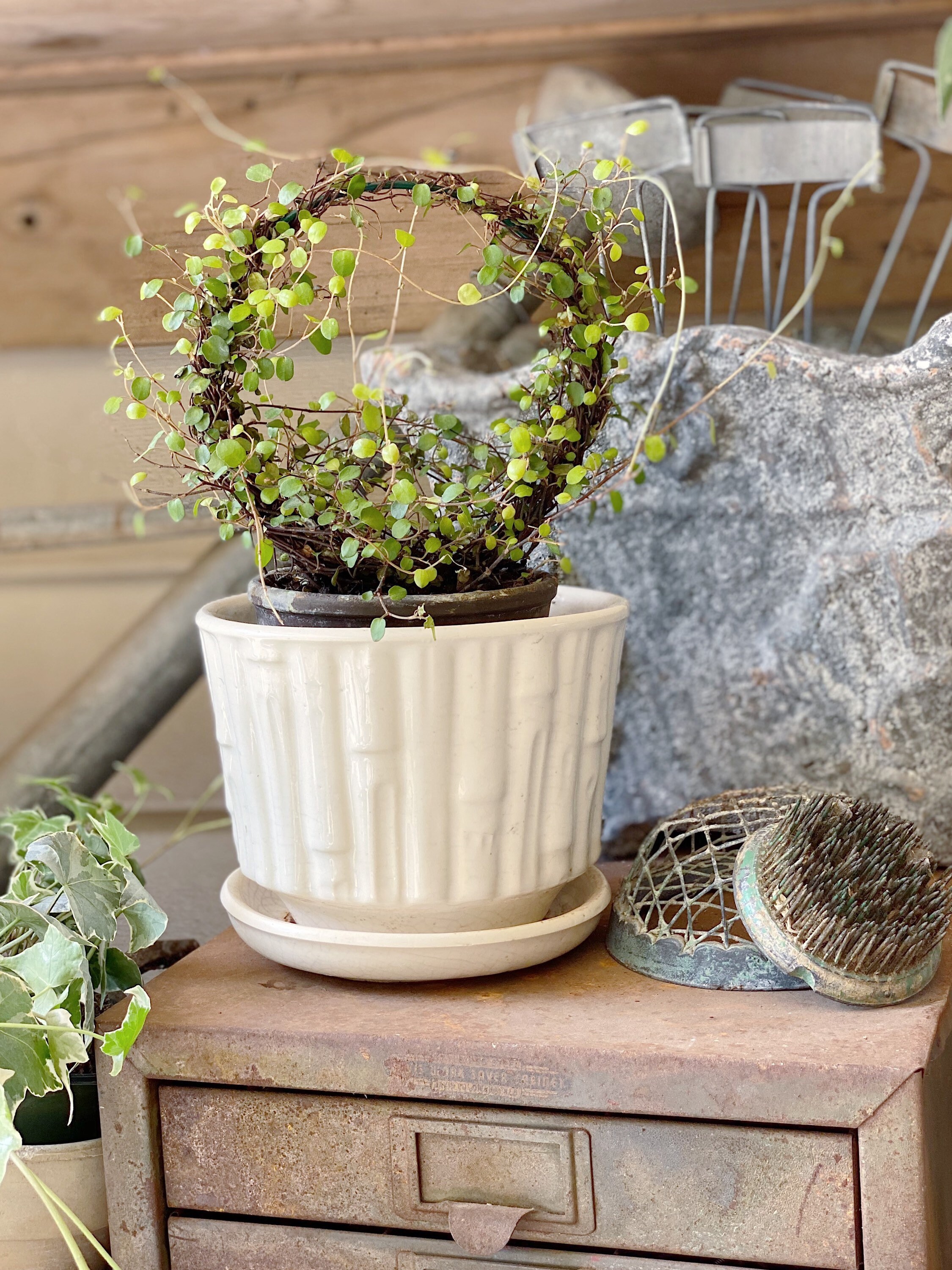 Antique Creamy White Flower Pot With Saucer Plate McCOY USA Container