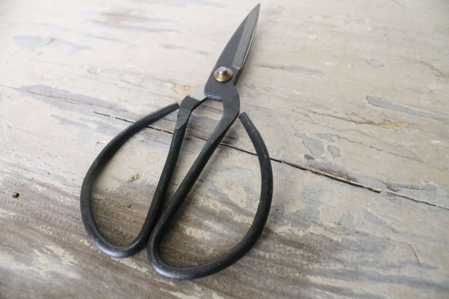 Farmhouse Garden Scissors Bonsai Vintage Primitive Style MEDIUM Florist