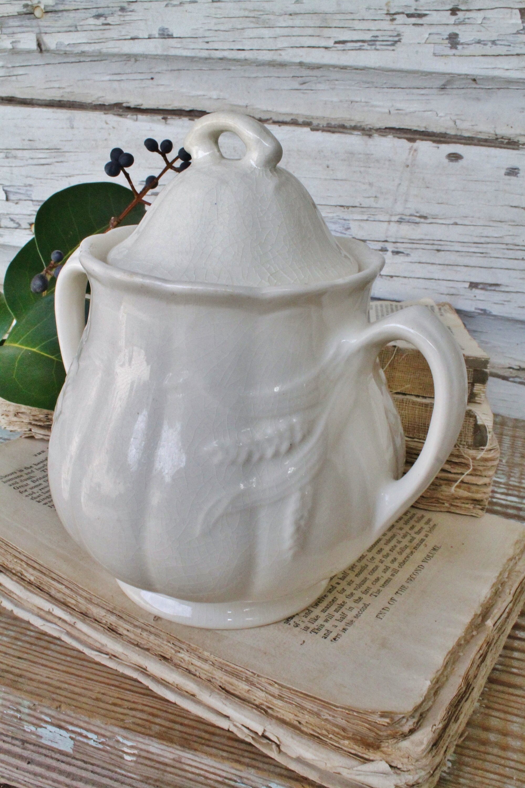 Antique White Ironstone Sugar Bowl ROYAL STAFFORDSHIRE WILKINSON Wheat