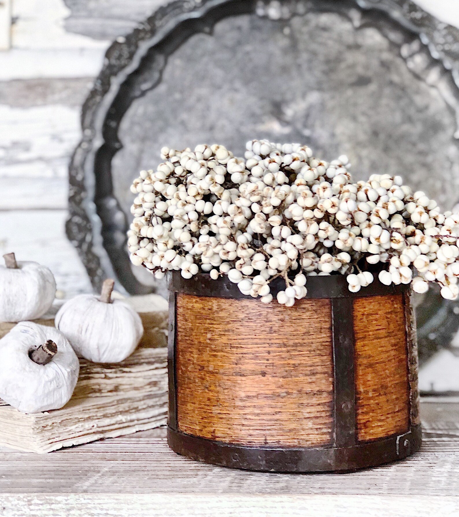 Tallow Berries TEXAS TALLOW Dried White Berry Bundle Bouquet Etsy