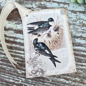Etiquetas de regalo de Pascua vintage con pájaros y nido, página de libro de historia natural, decoración de granja francesa, tarjeta Shabby, juego de 8