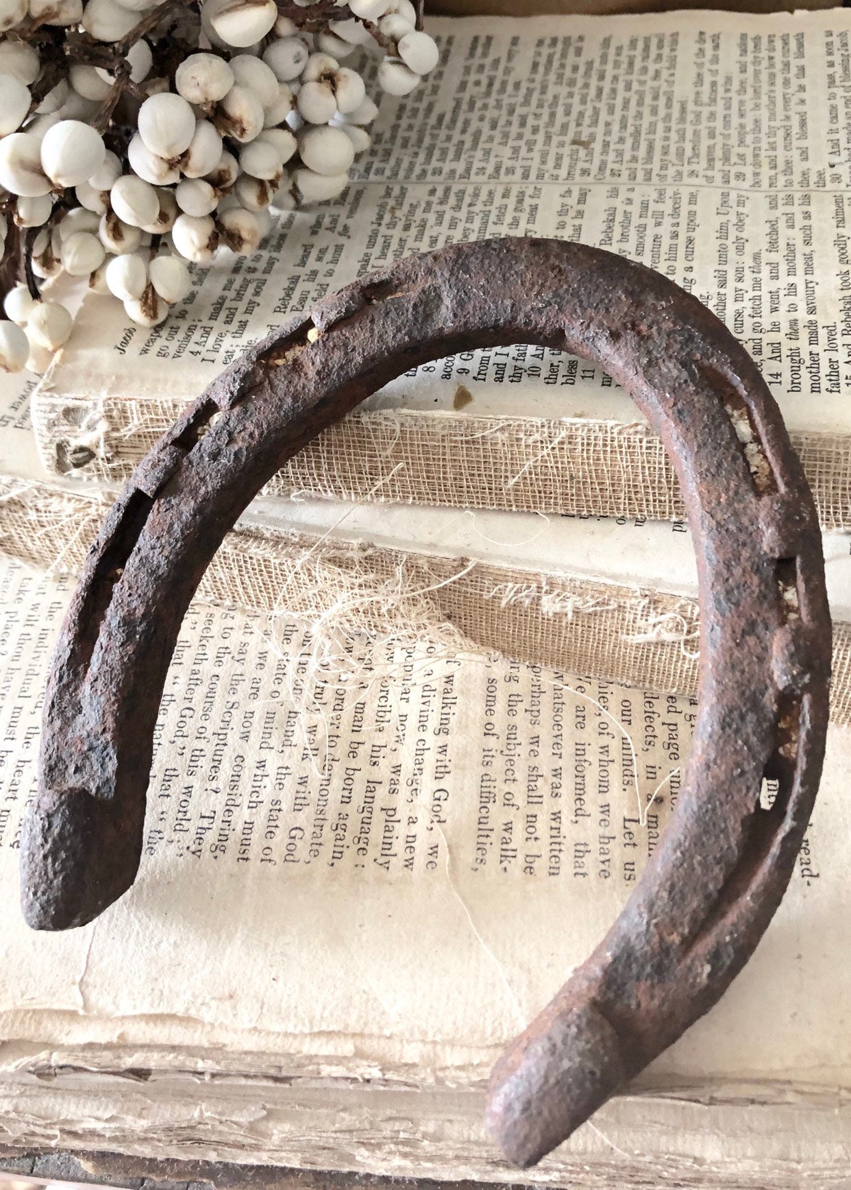 2 Pairs Large Metal Horse Shoes (Rustic, Chippy) - antiques - by