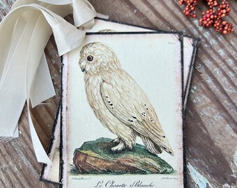 Halloween FALL WHITE OWL Gift Tags Vintage Farmhouse Decor Grungy Party Favor Card Tag