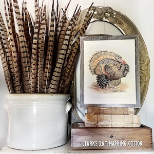 May include: A decorative arrangement with a framed turkey print, a distressed mirror, and a cream-coloured stoneware pot holding brown and cream feathers. A wooden box with "CLARKS O.N.T. MARKING COTTON" is also visible.