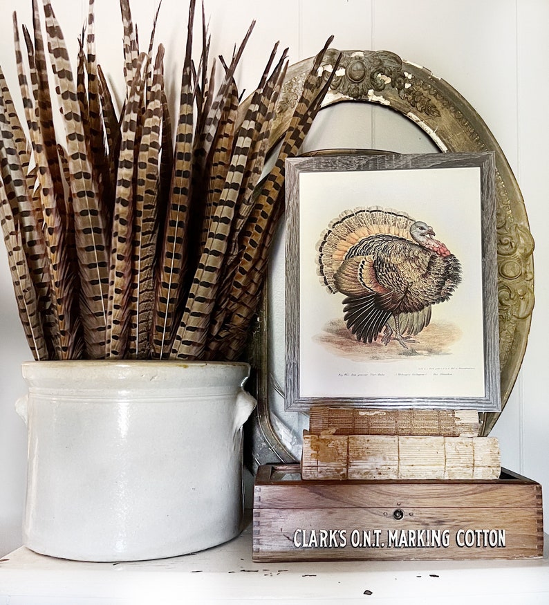 May include: A decorative arrangement with a framed turkey print, a distressed mirror, and a cream-coloured stoneware pot holding brown and cream feathers. A wooden box with "CLARKS O.N.T. MARKING COTTON" is also visible.
