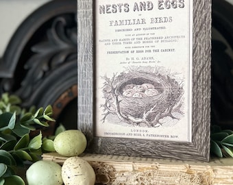 NESTS AND EGGS Framed Sign Post Card French Farmhouse Decor Barn Wood Easter Botanical