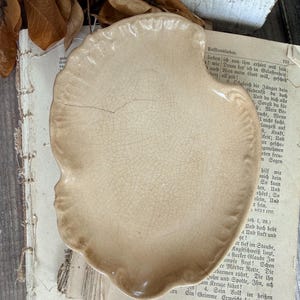 May include: A beige ceramic dish with a scalloped edge and a visible crack across the surface. The dish features a glossy glaze with a fine network of cracks throughout, resting on top of an open antique book with printed German text.