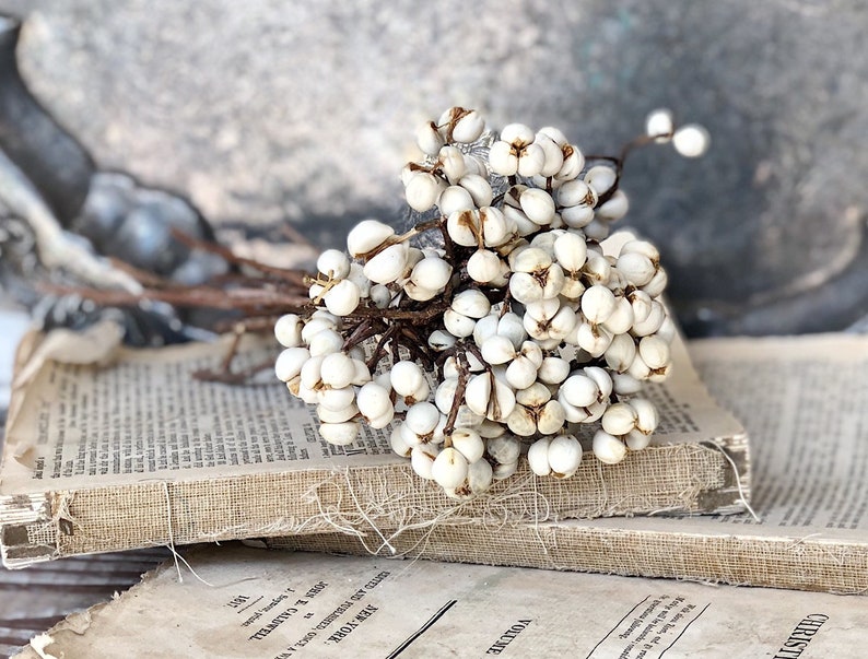 Tallow Berries TEXAS TALLOW Dried White Berry Bundle Bouquet Etsy