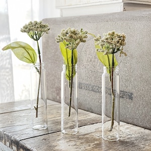 Vintage Glass Vial Bottles SET of 3 French Bud Vase Farmhouse Garden Decor Clear Craft Supplies