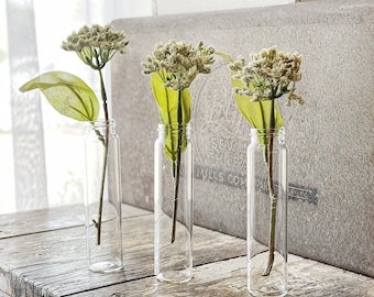 Vintage Glass Vial Bottles SET of 3 French Bud Vase Farmhouse Garden Decor Clear Craft Supplies