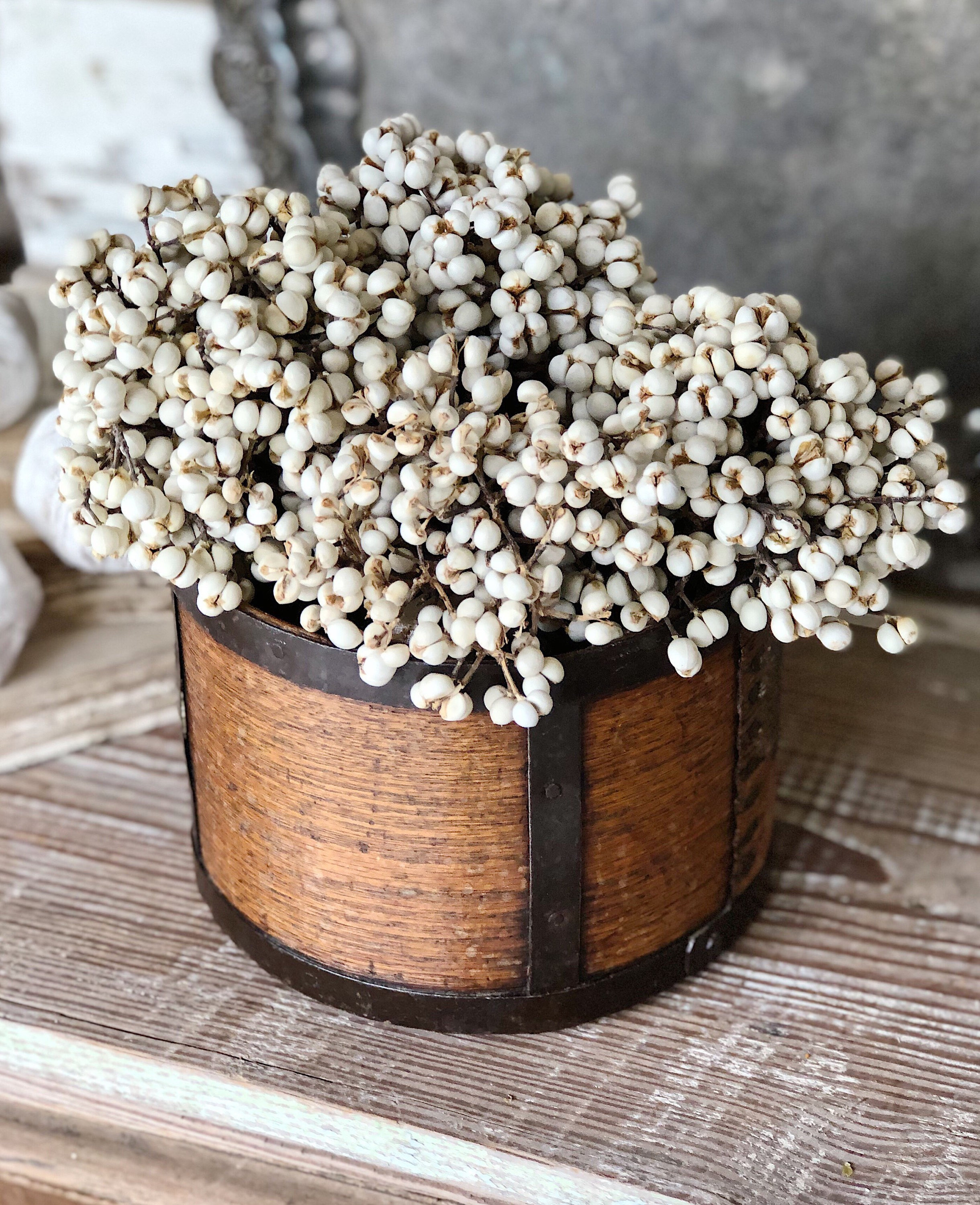 Tallow Berries TEXAS TALLOW Dried White Berry Bundle Bouquet Floral