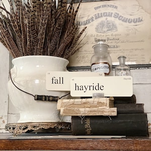 May include: A still-life arrangement featuring a white ceramic vase filled with brown and tan feathers. Two cards read "fall" and "hayride" atop a stack of books. A framed document and glass bottles are in the background.