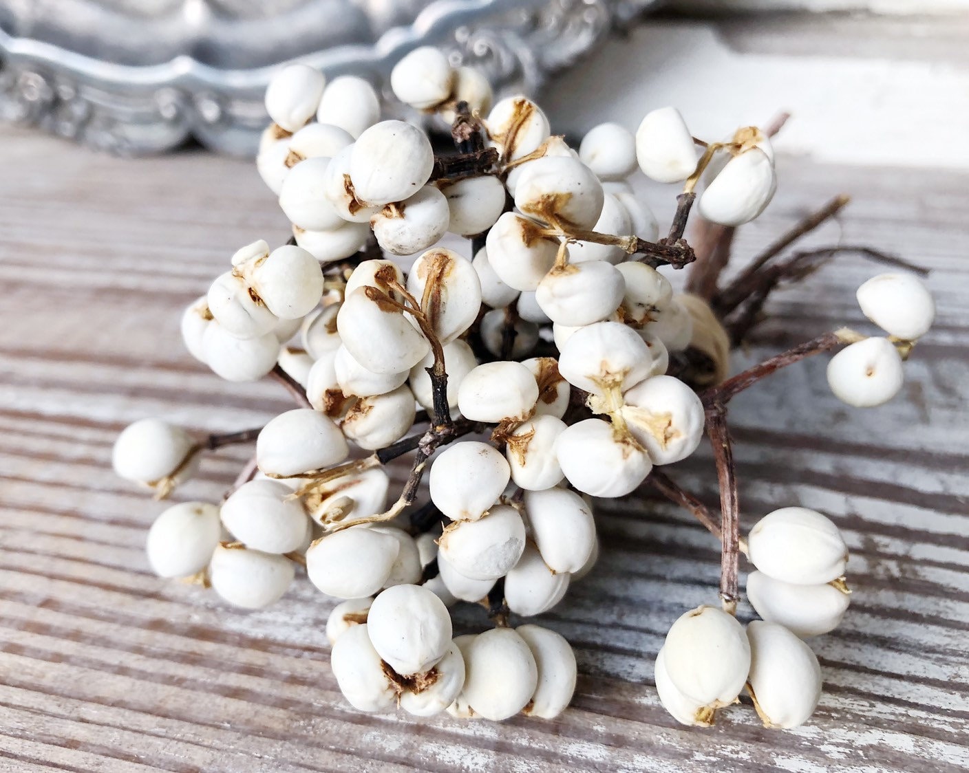 Tallow Berries TEXAS TALLOW Dried White Berry Bundle Bouquet Etsy