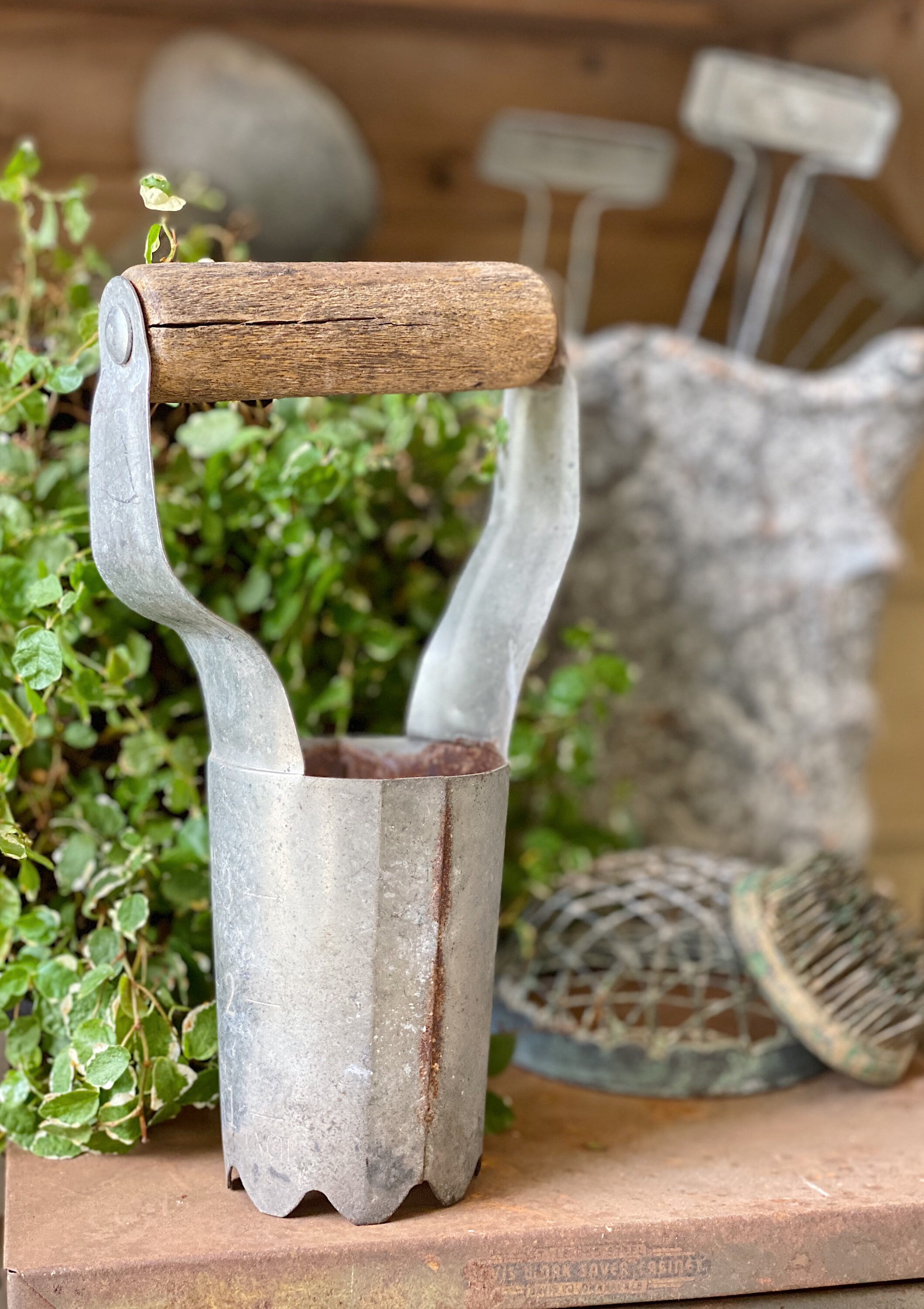 Vintage Garden Hand Tool Bulb Planter Hand Held Wood Metal Galvanized
