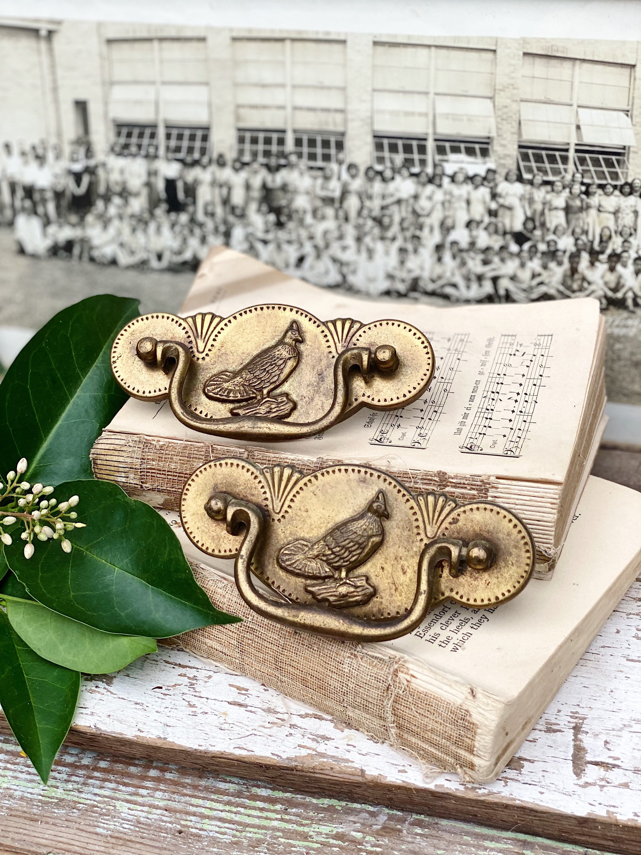 Antique Drawer Pulls Metal BRASS Pheasant Bird Ornate Farmhouse Decor Set of 2