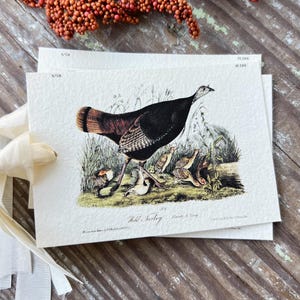 Etiquetas de presente femininas TURKEY, decoração vintage de fazenda, etiqueta de cartão de lembrança de festa grunge, decoração de mesa botânica de outono, Halloween