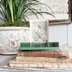 May include: A still life arrangement featuring a stack of aged books, a green floral frog, and a vintage black and white photograph. A white planter with greenery is in the background.
