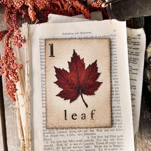 May include: A rectangular card featuring a dark red maple leaf illustration, the number 1, and the word leaf printed in black. The card is placed on top of an aged, cream-colored book page with German text, surrounded by dried orange plant sprigs.